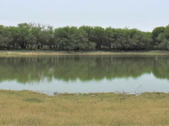 3rd image of TBD CR 414 Lot #2