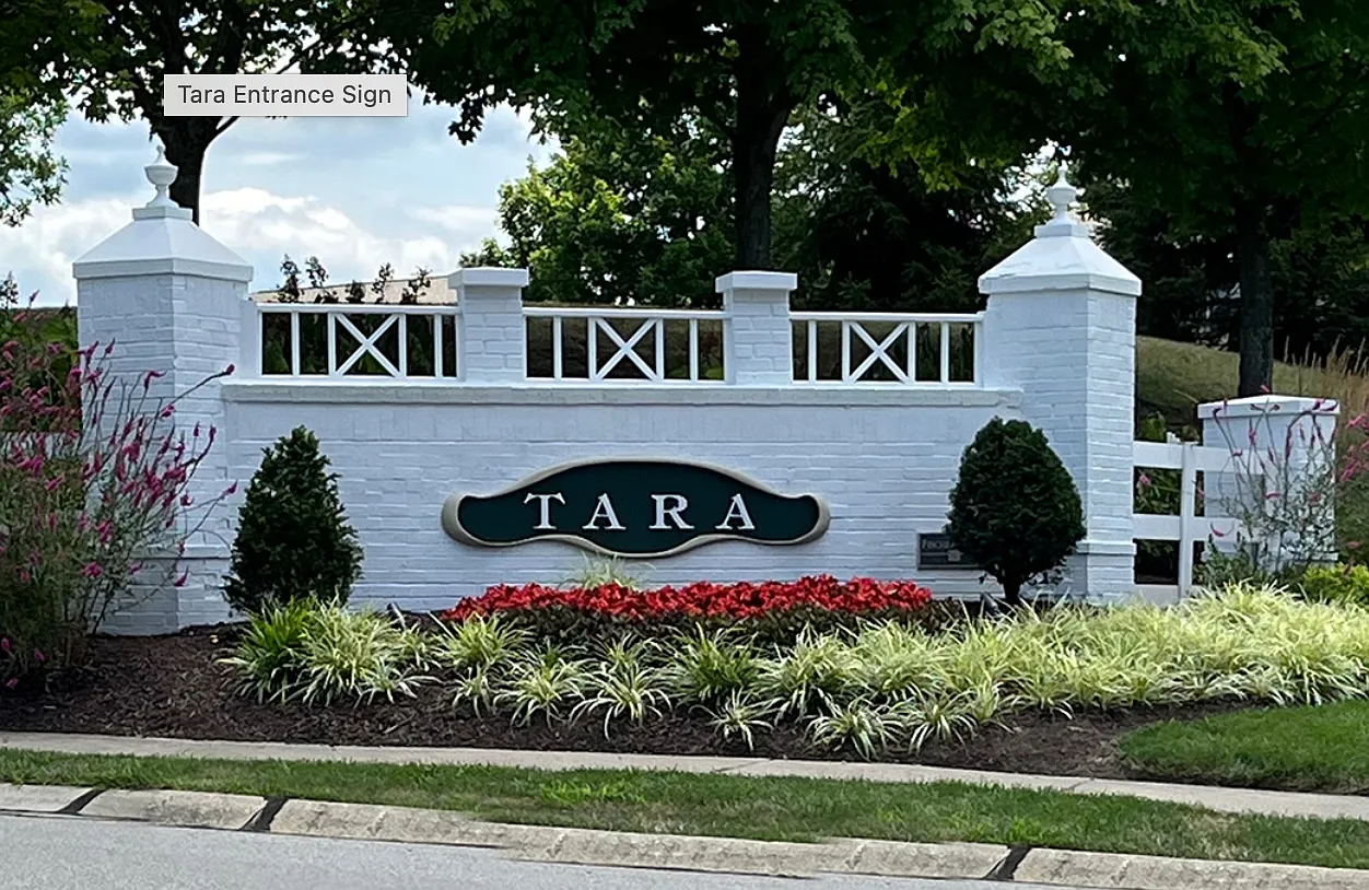 2 bed, 1130 sqft, $1,650 — Photo 1