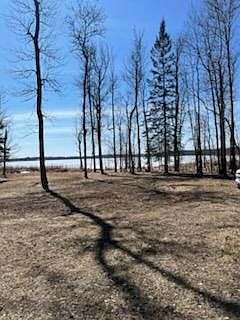 4th image of 42585 N Little Turtle Rd