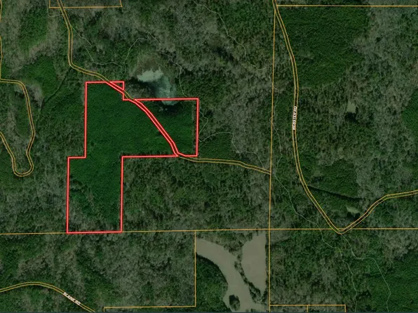 Fs #968.2, Ackerman, MS 39735