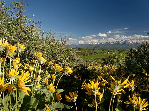 4th image of 569 Overlook Dr