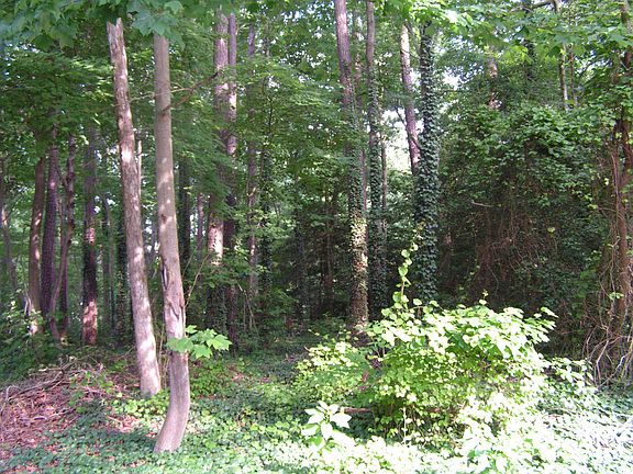 Wood community setting