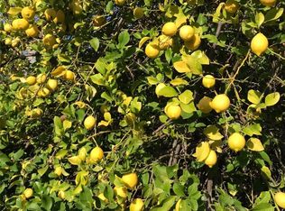 2034 Carancho Rd #7, Temecula, CA 92590