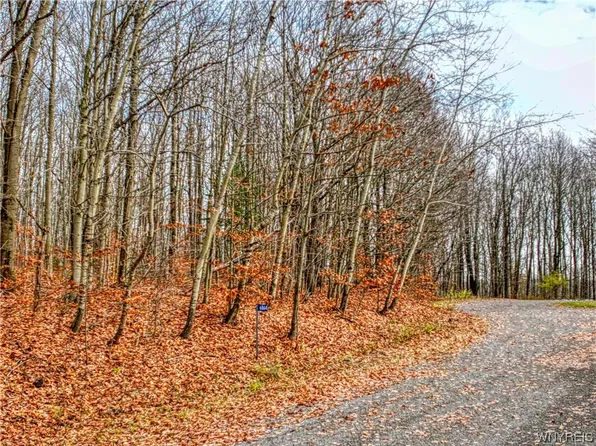 6864 Ridge Rd #36, Ellicottville, NY 14731