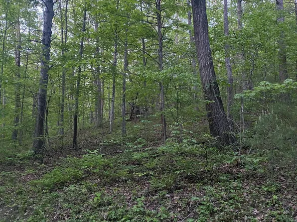 Tbd Crooked Run Rd, Basye, VA 22810
