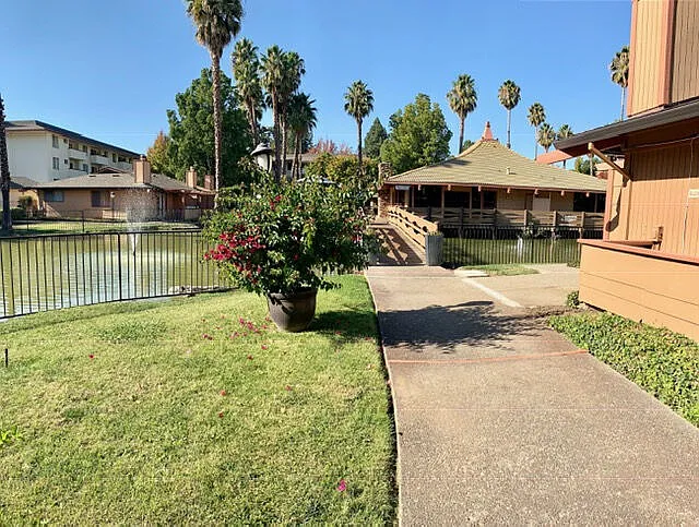 Palm Lake