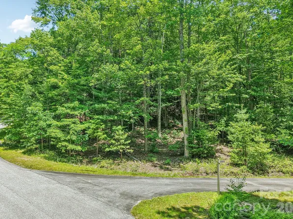11 Magnolia Branch Dr, Zirconia, NC 28790