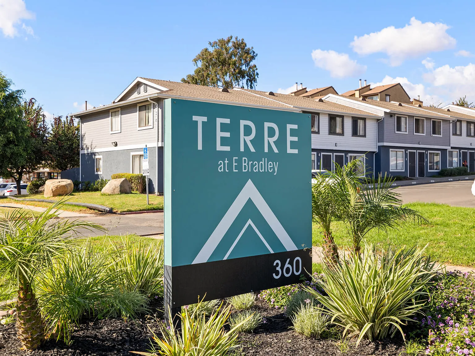 Terre at E Bradley — Photo 3