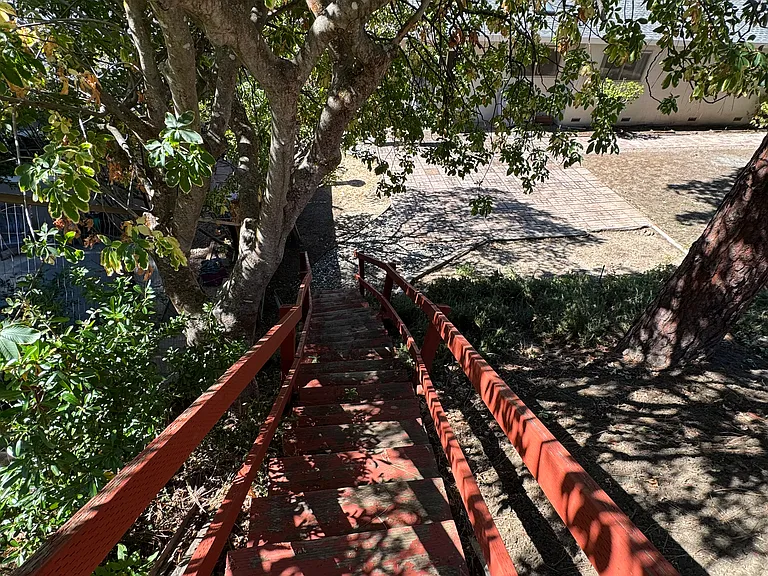 227 Ramona Rd — Photo 45