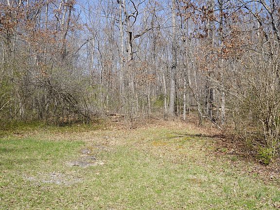 4th image of 219 Woods Hollow Ln