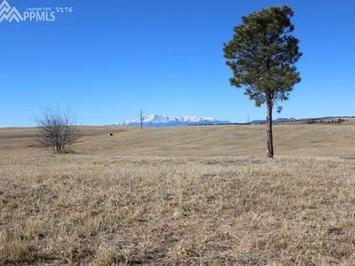 16710 Black Forest Rd, Colorado Springs, CO, 80908