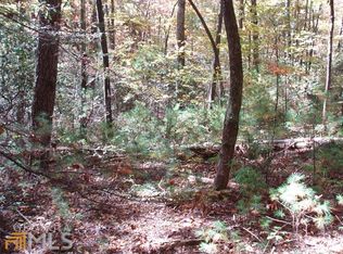 Rainbow Ct, Clarkesville, GA 30523