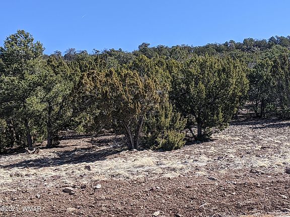 3rd image of LOT 61 Stanford