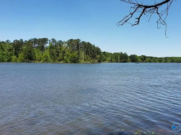 2 Goosepond Island Dr, Scottsboro, AL 35769