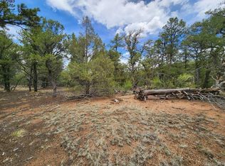 Township Road 44 Path #I, Cotopaxi, CO 81223