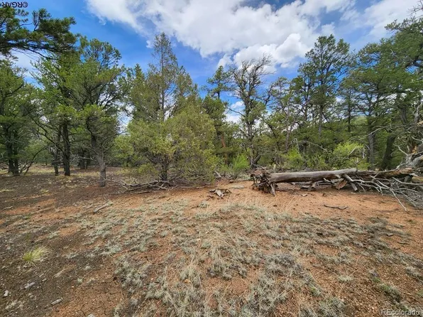 TR-44 I Path LOT 44, Cotopaxi, CO 81223
