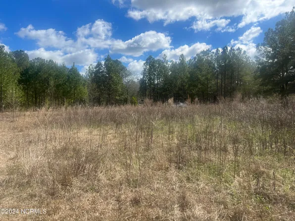 4.2 Ella Mae'S Drive, Saint Pauls, NC 28384