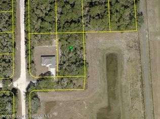 14251 Ravine Ave, Brooksville, FL 34614