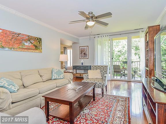 Light filled Living Room
