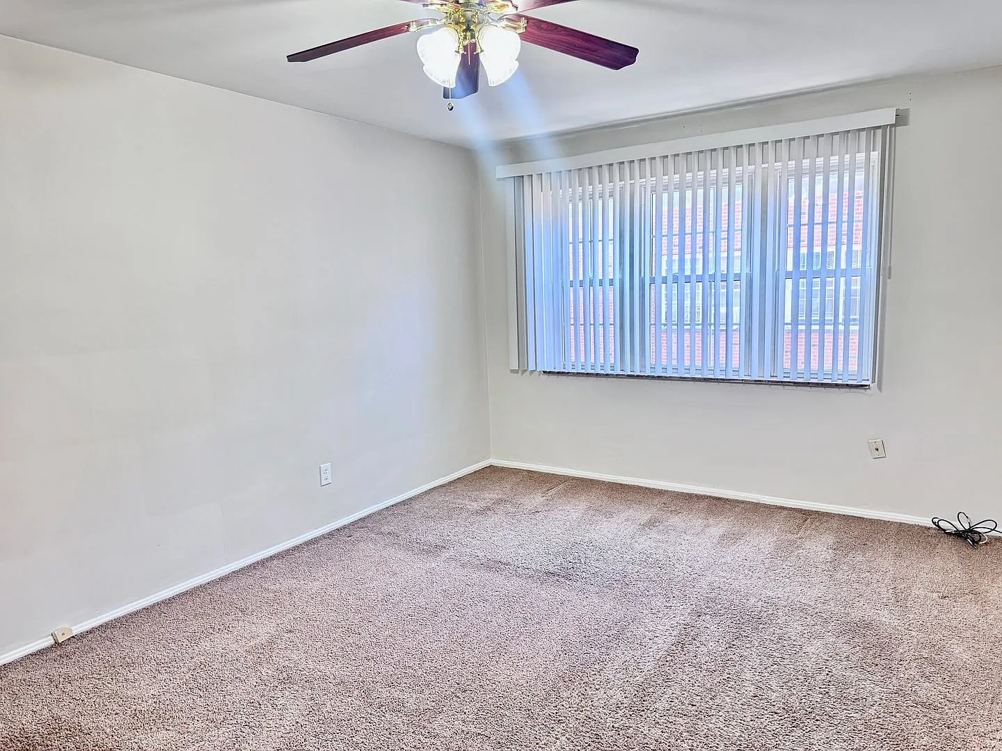 Marchmont Terrace Apartments — Photo 4