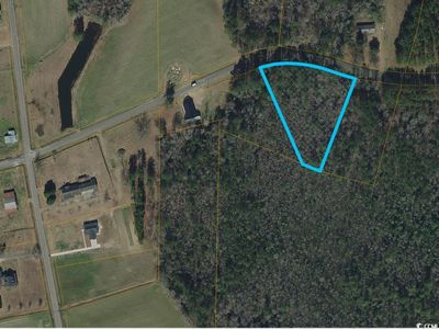 TBD Long Branch Swamp Rd., Nichols, SC, 29581
