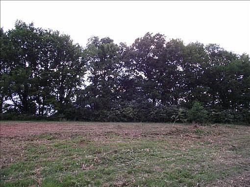5th image of 365 Woodchuck Ln