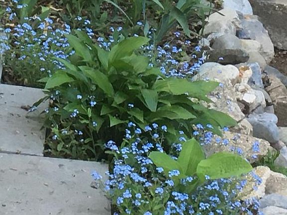 Path to your front door.