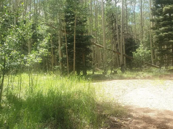 5242 Crossman Road LOT 5242,5243,5256, Fort Garland, CO 81133