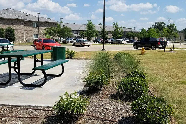 Cypress Springs — Photo 35