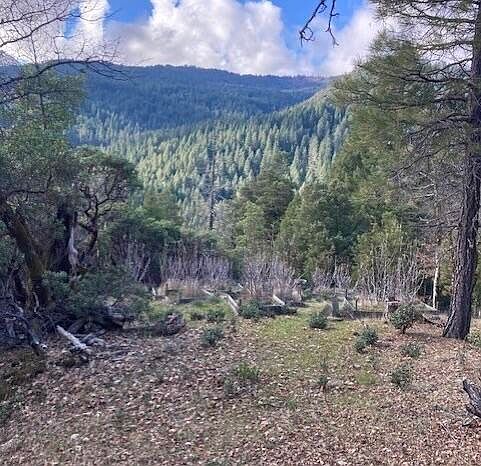 1st image of 6275 Van Duzen Rd