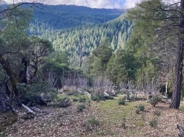 6275 Van Duzen Rd, Mad River, CA 95526