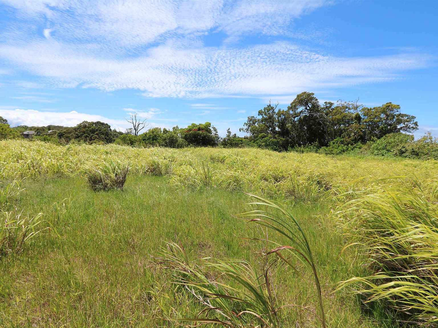 1310 W Kuiaha Rd, Haiku, HI 96708 MLS 396403 Zillow