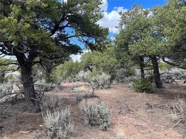00 Annenberg Road, Fort Garland, CO 81133