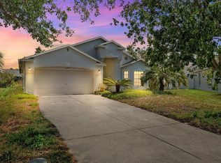 6320 Open Pasture Ct, Wesley Chapel, FL 33545