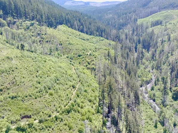 Crooked Finger Rd, Scotts Mills, OR 97375