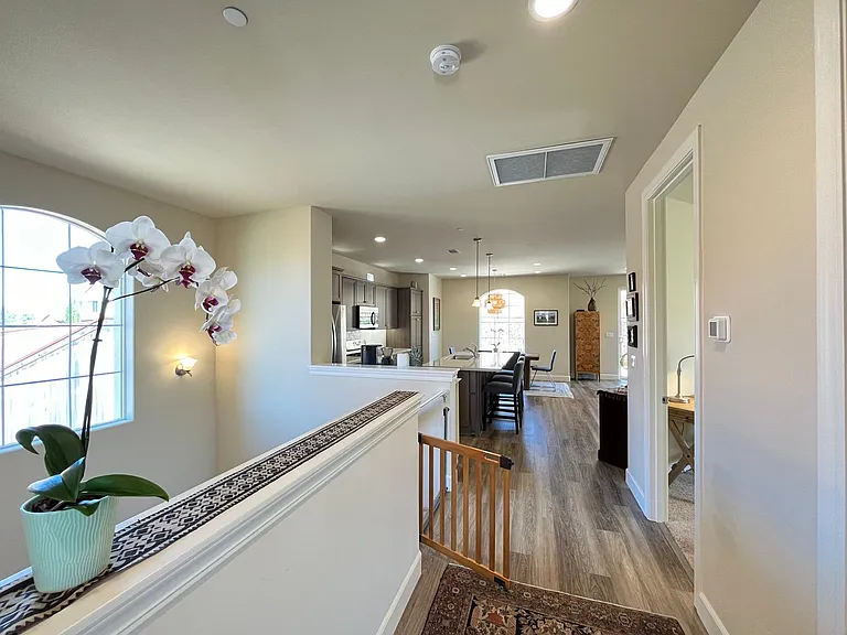 3005 Arezzo Dr — Photo 11