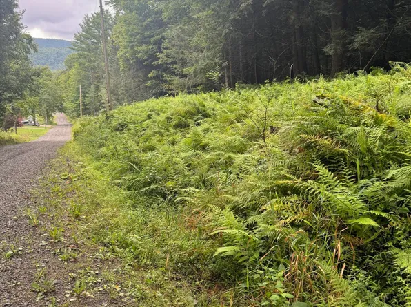 0 Cabin Hill Rd, Hallstead, PA 18822