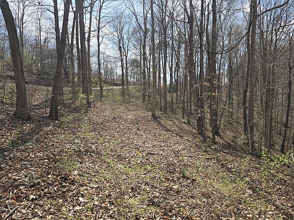 4th image of 3 Maple Grove Rd