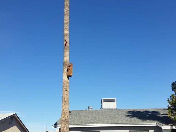 3rd image of 8022 W Mariposa Dr