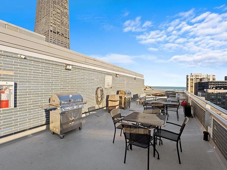 222 E Pearson St #2406 — Photo 13