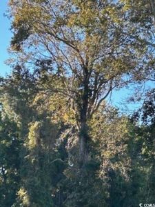 TBD Meher Ln., Little River, SC, 29566