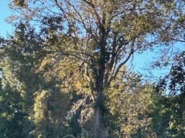 TBD Meher Ln., Little River, SC 29566