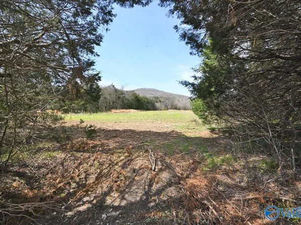 6 Couey Rd, Somerville, AL 35670