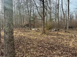 0 Glenn Williams Dr, Randleman, NC 27317