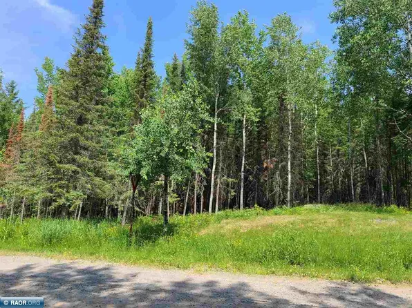 138 Tbd County Rd, International Falls, MN 56649
