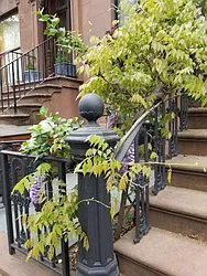 Rented by Brooklyn Heights Real Estate Inc