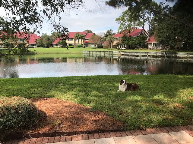 View from Back Patio