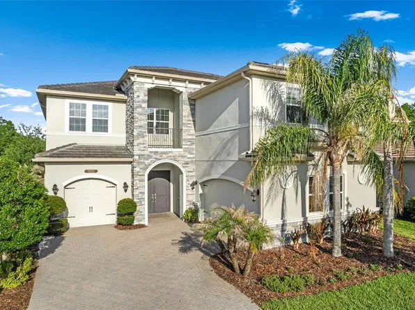 31321 Chesapeake Bay Dr, Wesley Chapel, FL 33543