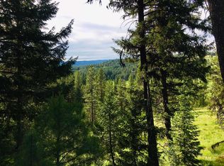 Tbd Tamarack View Dr, New Meadows, ID 83654