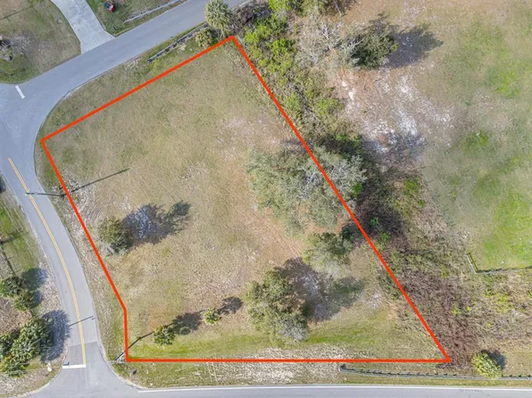 County Road 300 Lot 1, Lake Panasoffkee, FL 33538